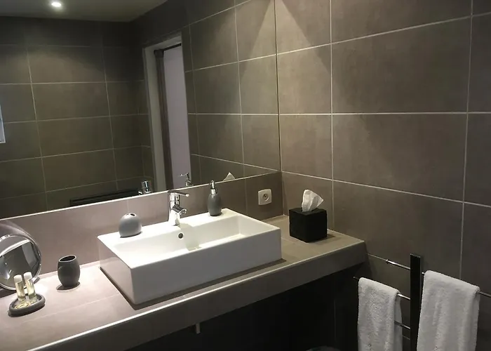 乐玛布列松酒店 3* 佩皮尼昂