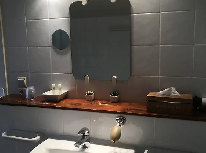 乐玛布列松酒店 住宿加早餐酒店 佩皮尼昂